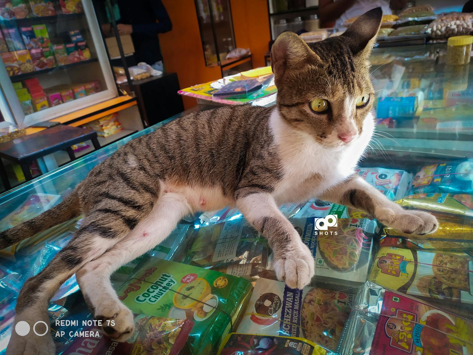 專業高流明投影機細節特寫